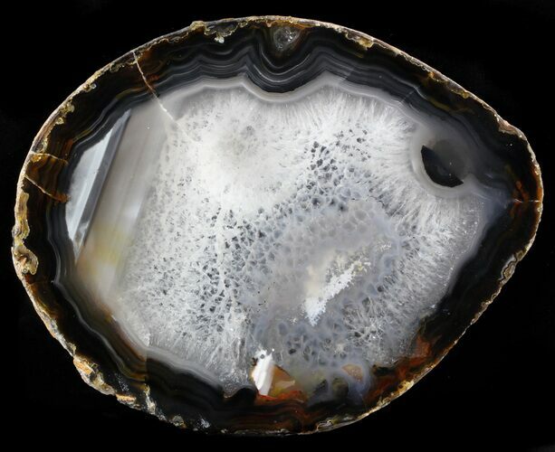 Polished Brazilian Agate Slice #34392